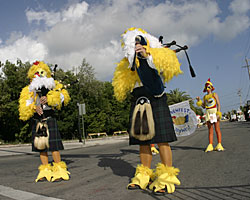 Chicken Fest Key West 2004 photo - Duval Street, Key West